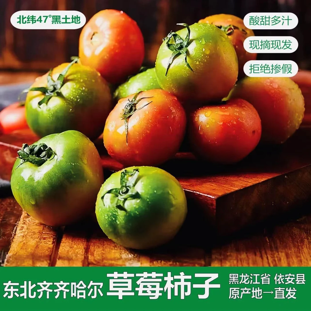 东北黑土地西红柿正宗草莓柿子农家种植现摘酸甜可口小时候味道