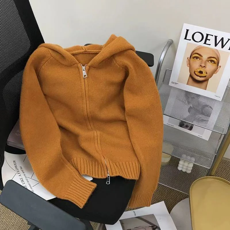 【肉总】韩系精致拉链式简约百搭连帽毛衣