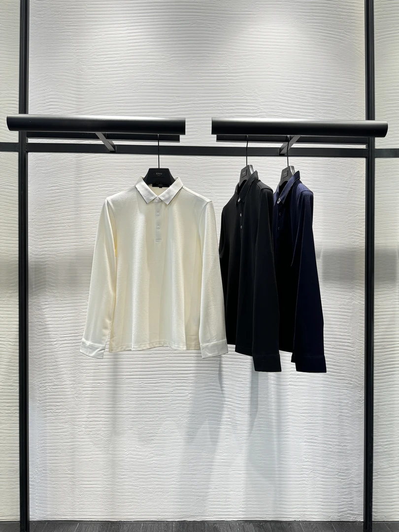 高级男装 秋季新品24s衬衫长袖百搭修身商务休闲舒适长衬衣 6647