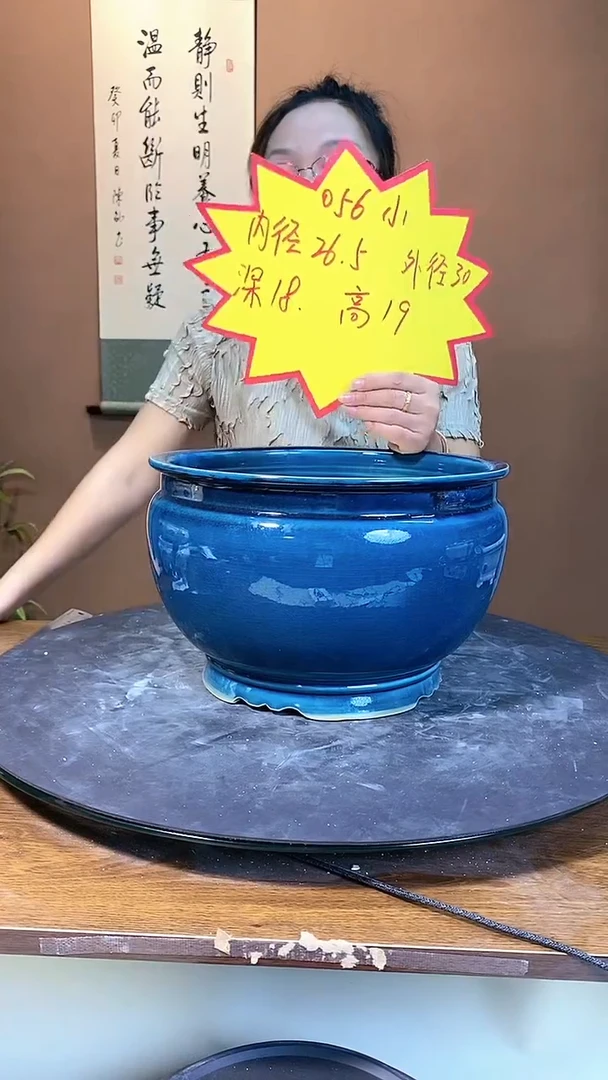 【闪购商品】056小蓝