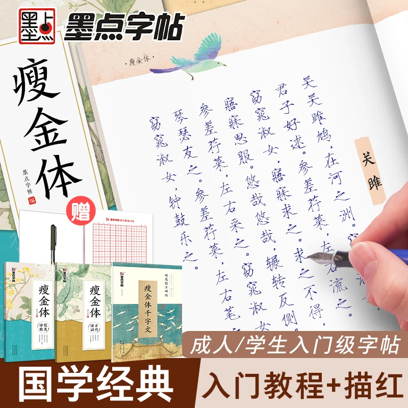 墨点瘦金体描红练字帖学生成人硬笔临摹漂亮字体文章带教程套装