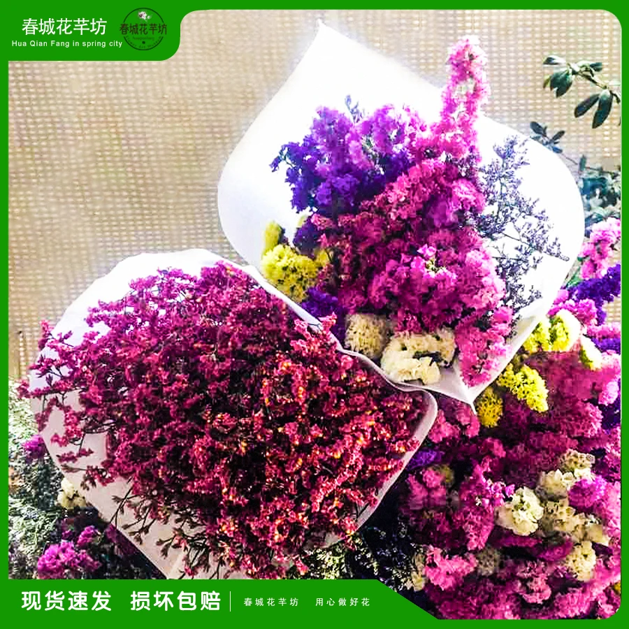 【买一束送一束】云南直发大束勿忘我红水晶花束鲜花真插花卉礼物