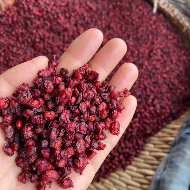 【秦巴山货】村书记助农 秦岭山货 干五 味 子 250g