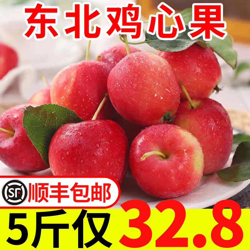 正宗东北鸡心果5斤锦绣海棠果冰糖心小苹果新鲜水果批发沙果特产