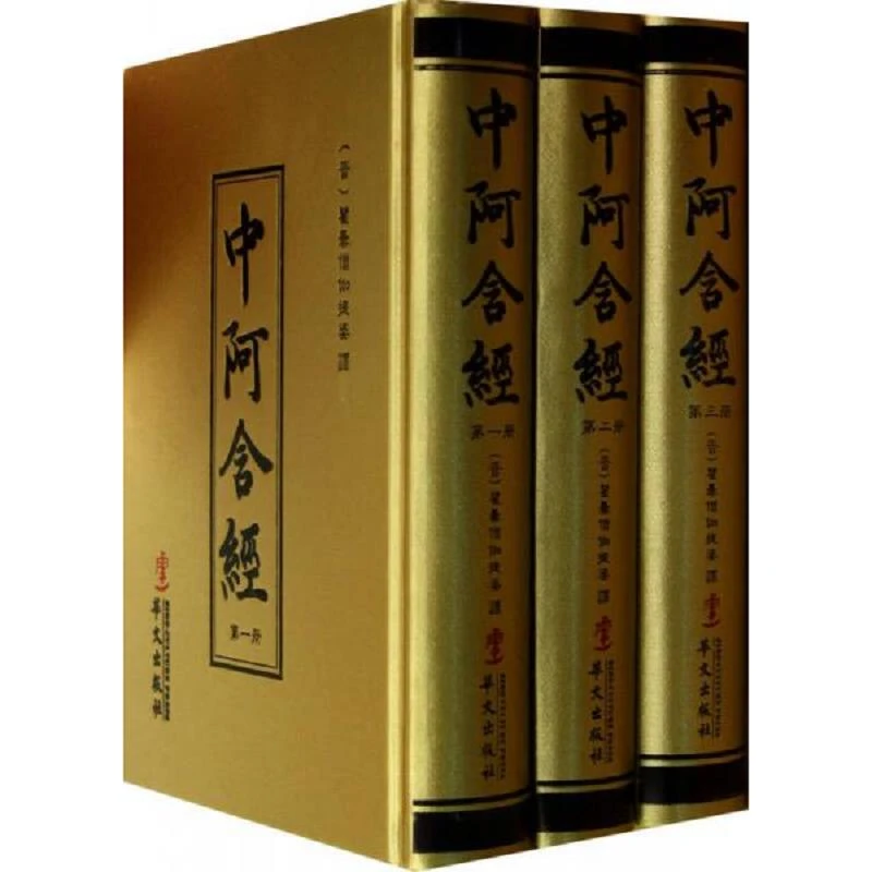 中阿含经（全套三册） 二手95新