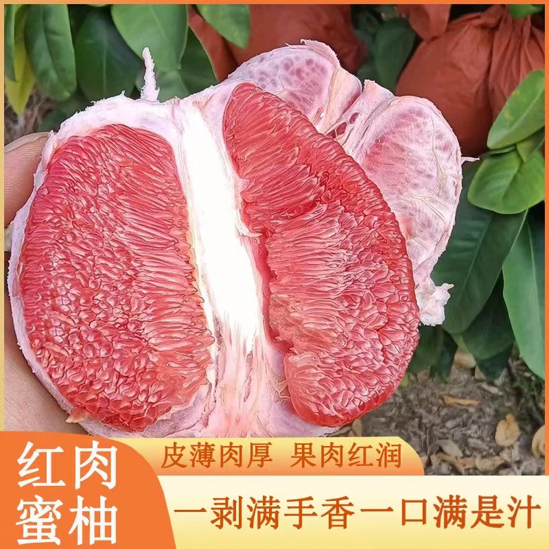 福建秋天红心蜜柚当季新鲜水果三红蜜柚颗粒饱满水嫩多汁