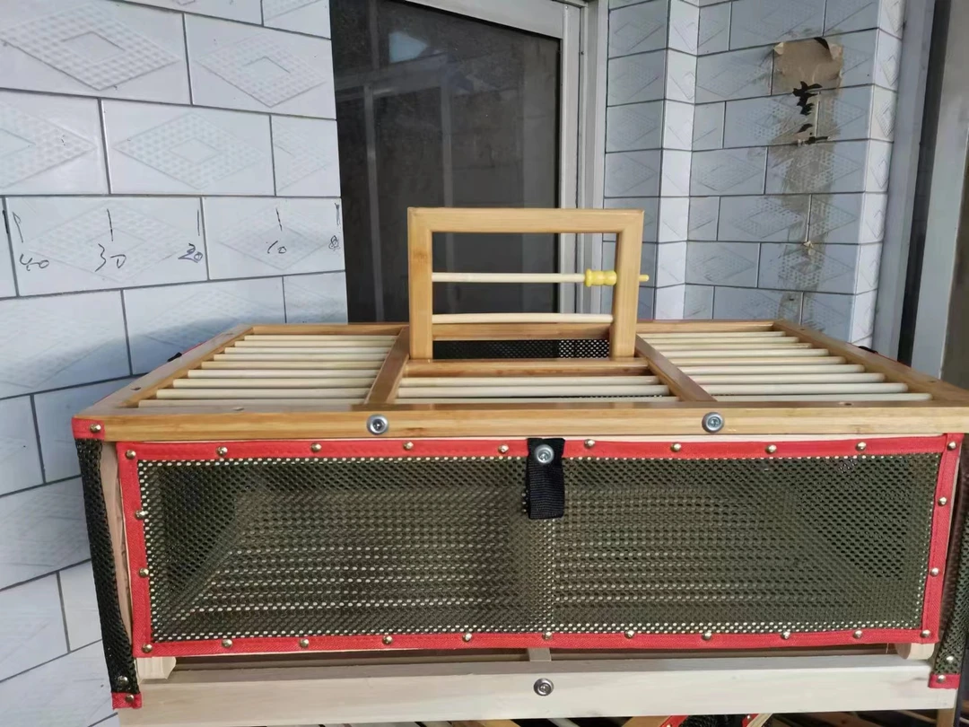 竹面透气孔训放笼