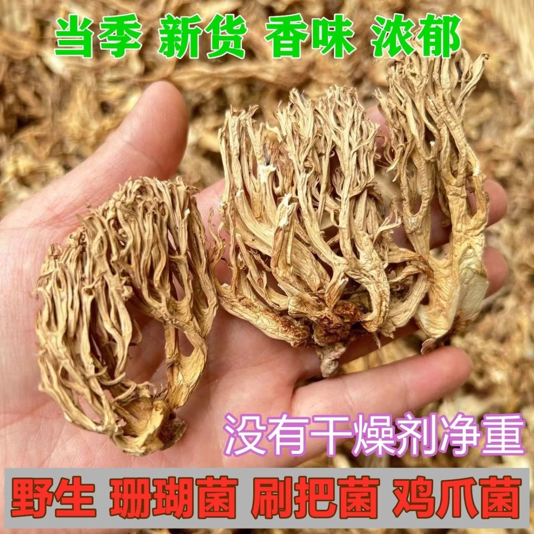 野山菌干货野生珊瑚菌扫把菌鸡爪菌野山珍菌子蘑菇野生菌龙须蘑