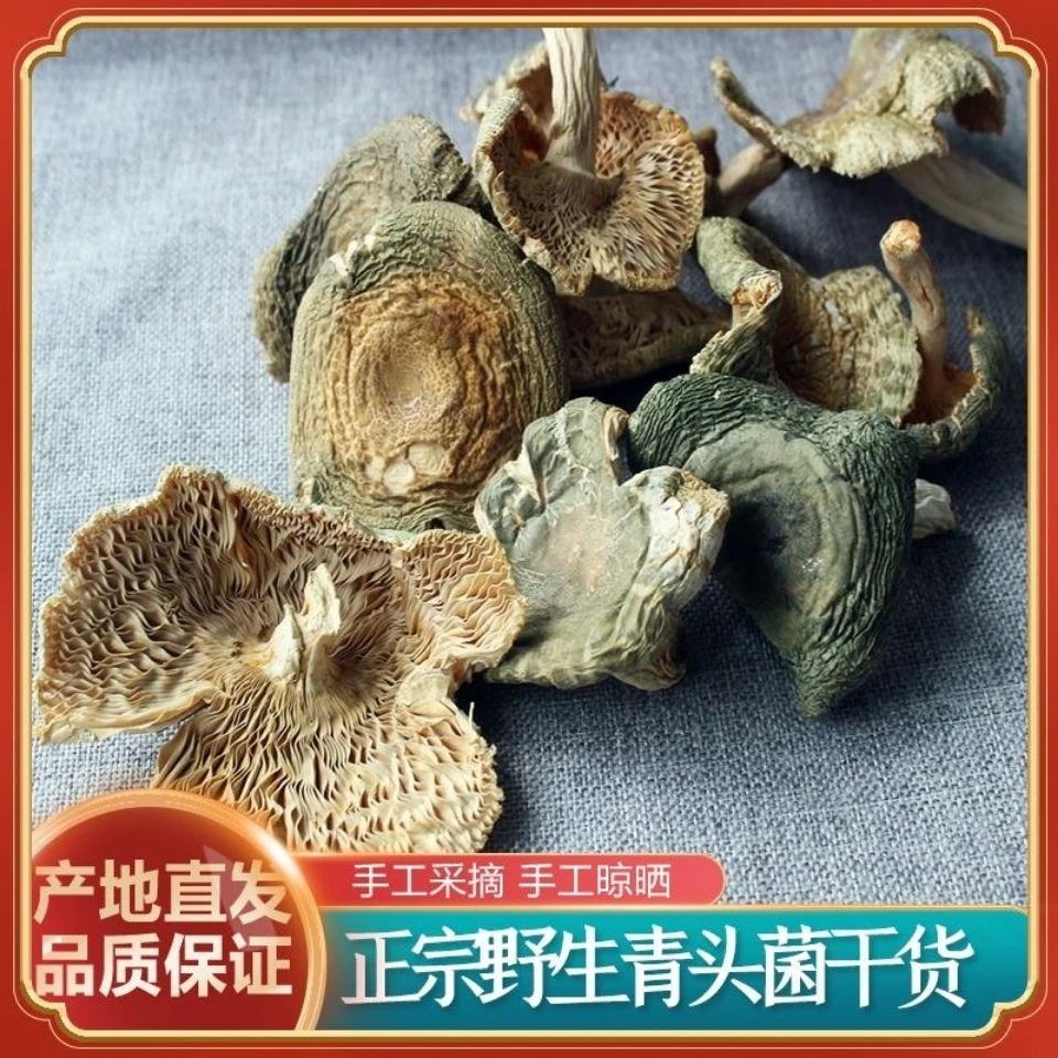 青头菌干货野生绿头菌梨菇木蘑菇四川野生菌新鲜‘净重不含干燥剂