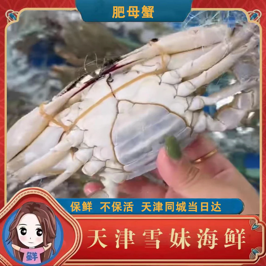 雪妹【保鲜不保活】肉母蟹2斤-5斤 每斤2-5只，单只2-5两
