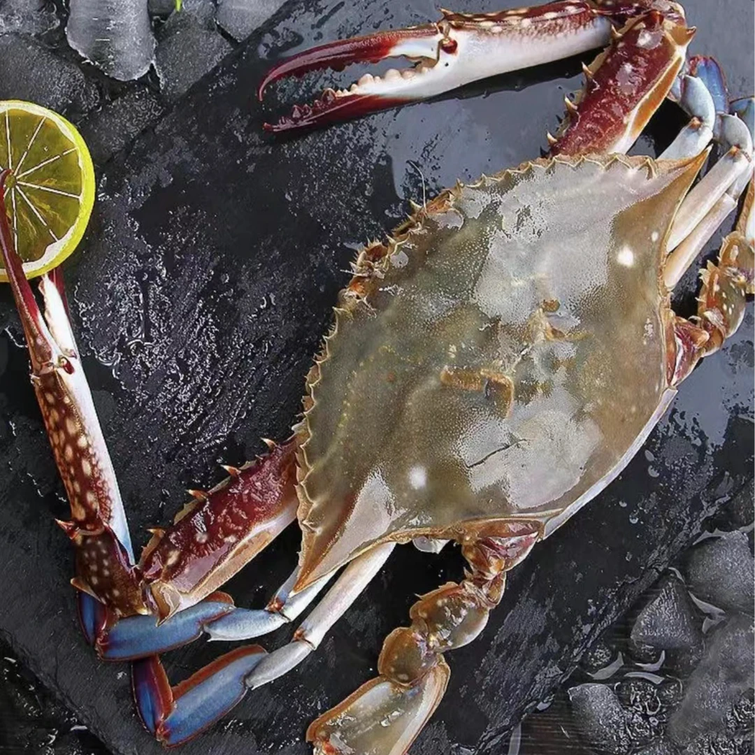 雪妹【保鲜不保活】精品东北公蟹3-5斤（单只3-5两）梭子蟹