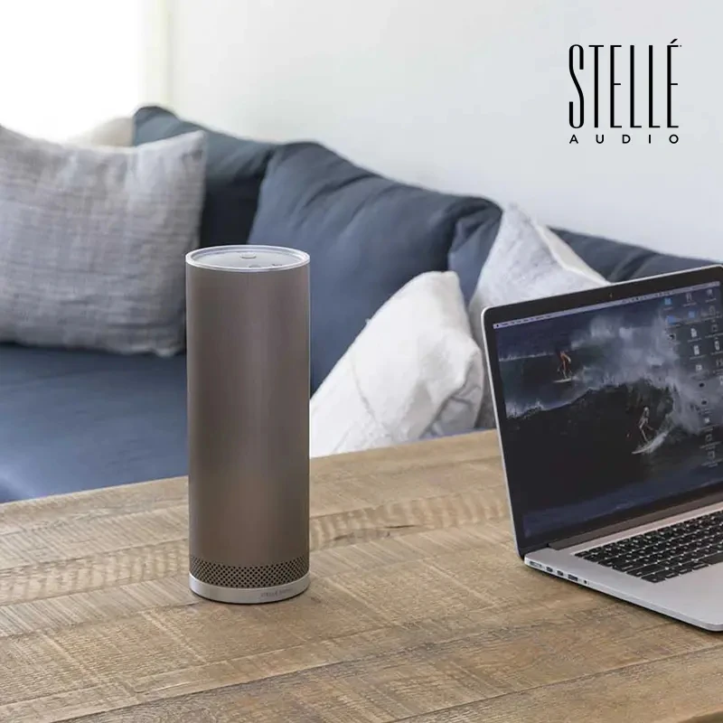 未使用  英国 Stelle Audio Pillar 设计艺术品蓝牙家庭音响