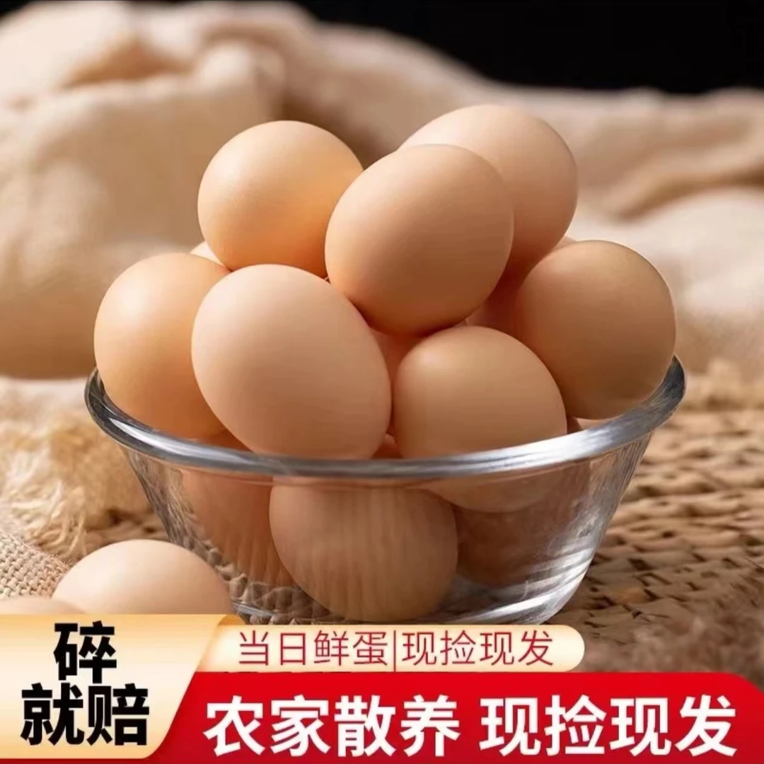 湖北恩施农家自养鲜鸡蛋谷物喂养散养破损包赔30枚/50枚
