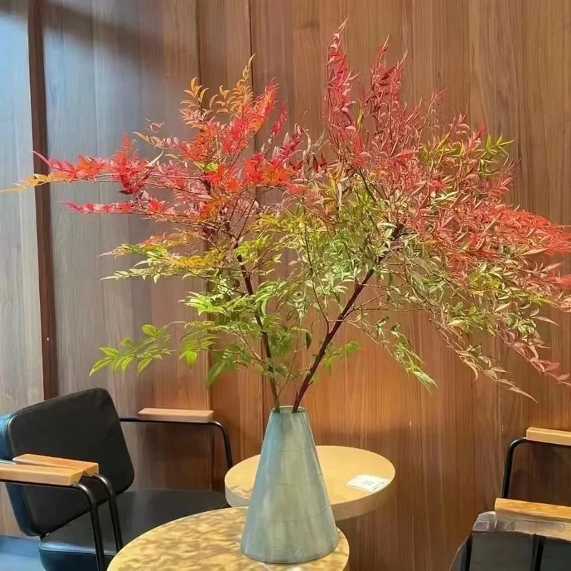 火焰南天竹水培土培易养绿植盆栽花卉室内室外客厅