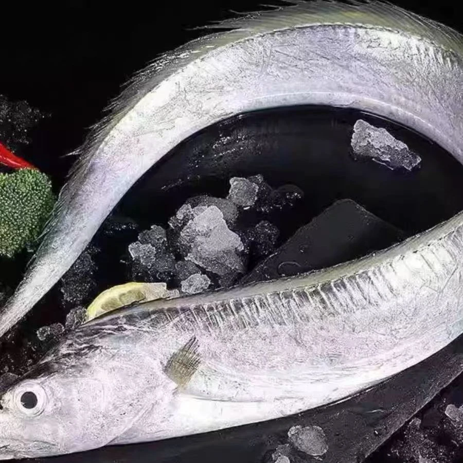 新鲜海捕整条小眼睛带鱼  5斤 10斤 江苏发货