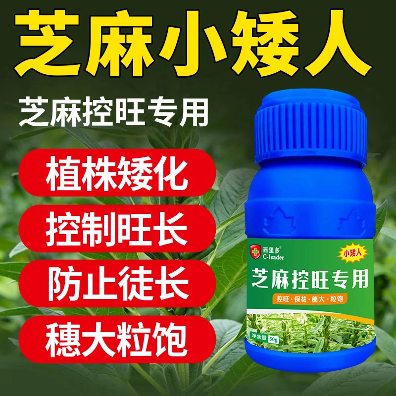 芝麻专用控旺药小矮人农用旺长疯长抗倒白芝麻黑芝麻肥料矮壮剂