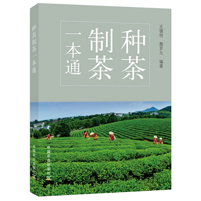 种茶制茶一本通 茶树栽培种植技术茶树品种识别茶叶制造工艺书籍