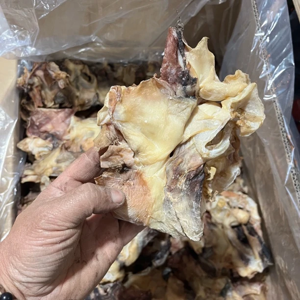 福建半咸水鱿鱼头买三送一海产干货新鲜半咸水煲汤