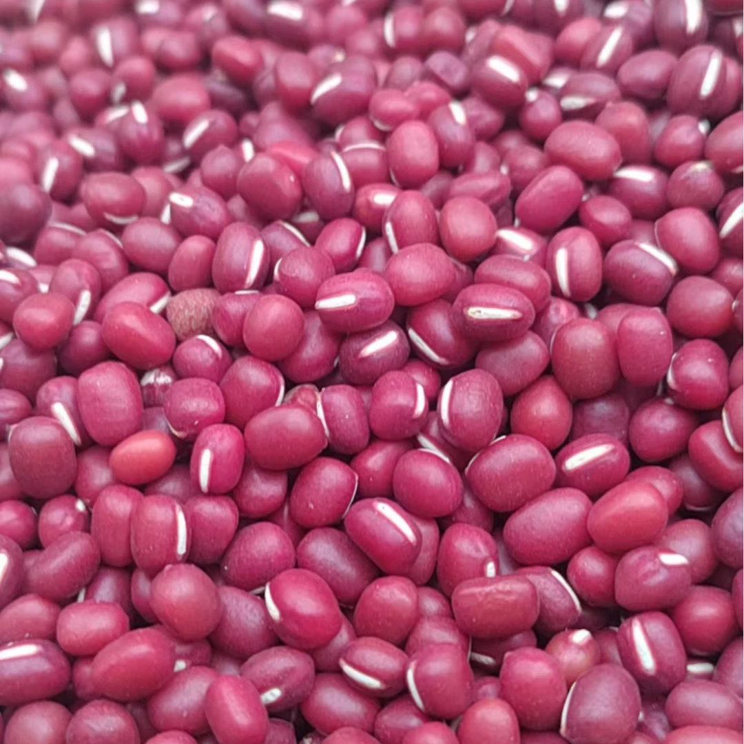 农家自种东北包括红豆3斤5斤