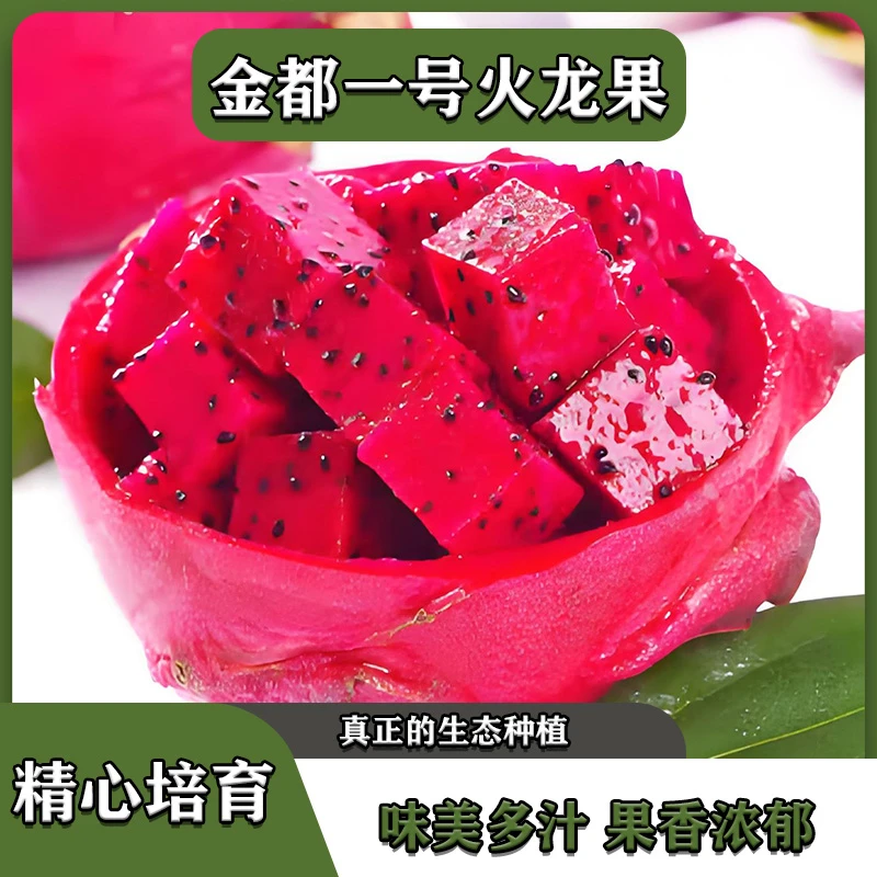 正宗广西火龙果红肉新鲜当季现摘现发鲜甜多汁皮薄肉厚饱满香甜