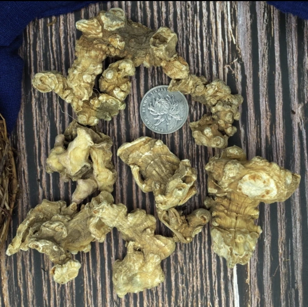 云贡山货   竹节S 香菇