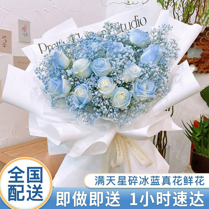 密西根碎冰蓝玫瑰花鲜花真花全国同城配送速递送朋友生日包好