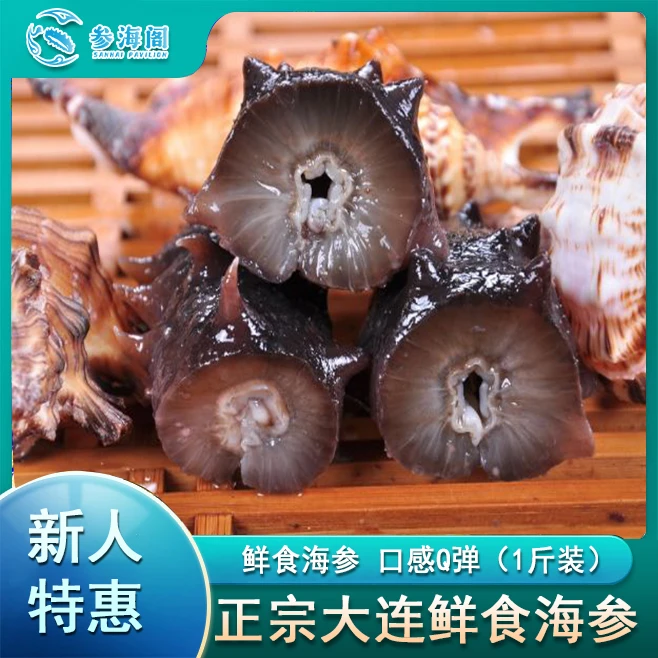 【参海阁】大连底播鲜食海参精选一斤装鲜活营养高品质开袋即食产品