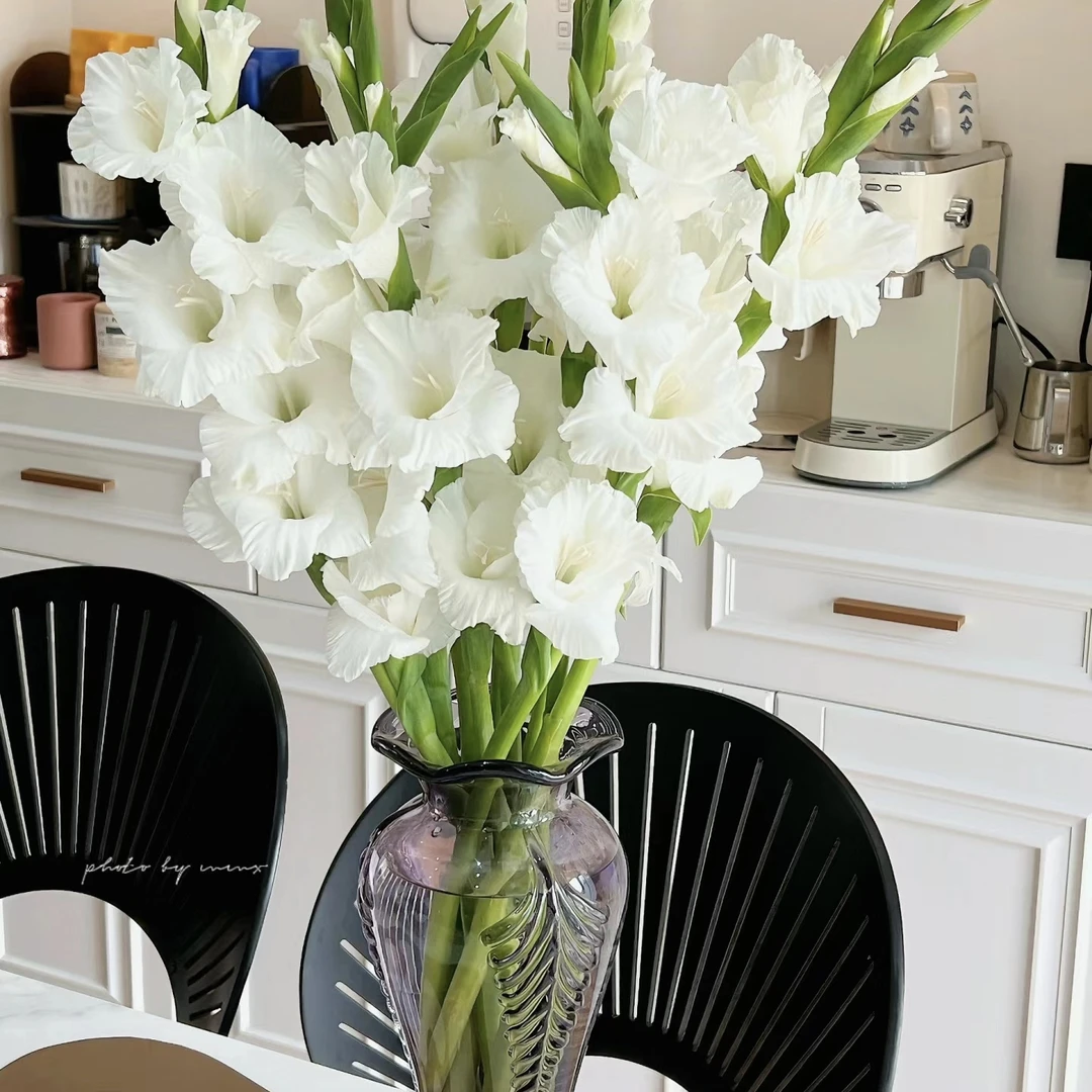 【美润花卉】【剑兰鲜花白色A级】基地直发京东包邮居家办公漂亮完美