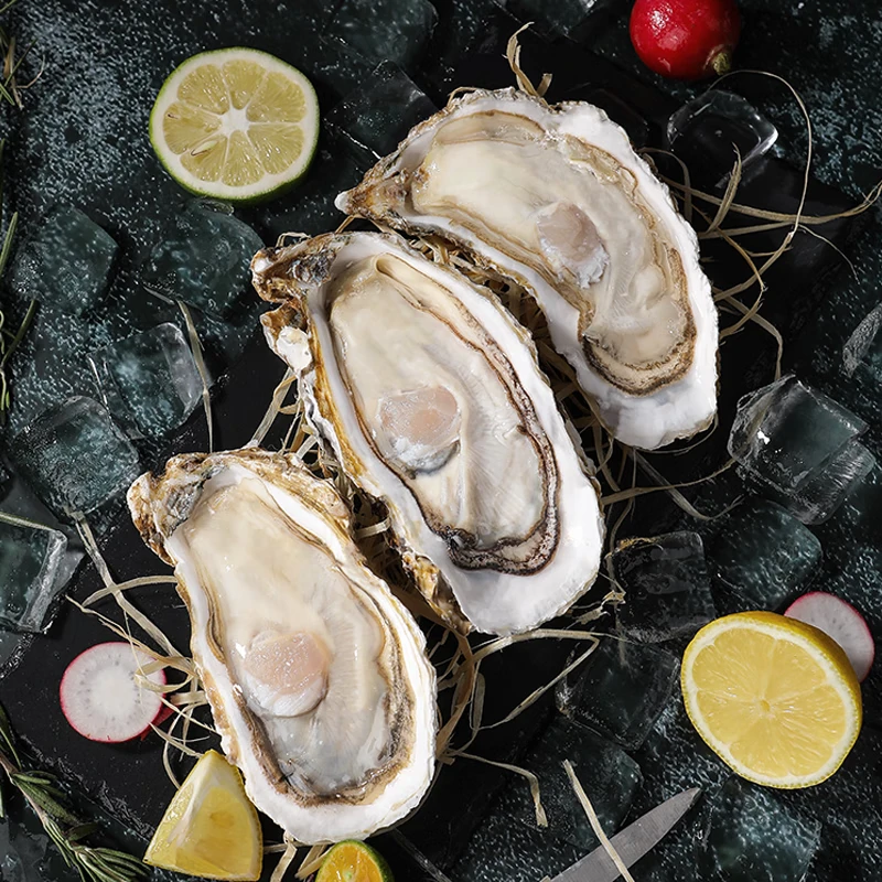【鲜活海鲜】生蚝 5斤  约20只左右