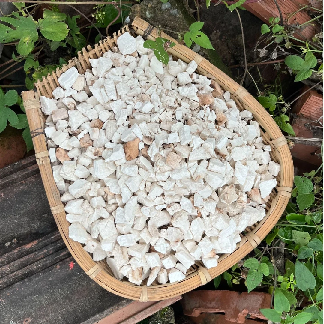 现收秦岭山货野生茯苓