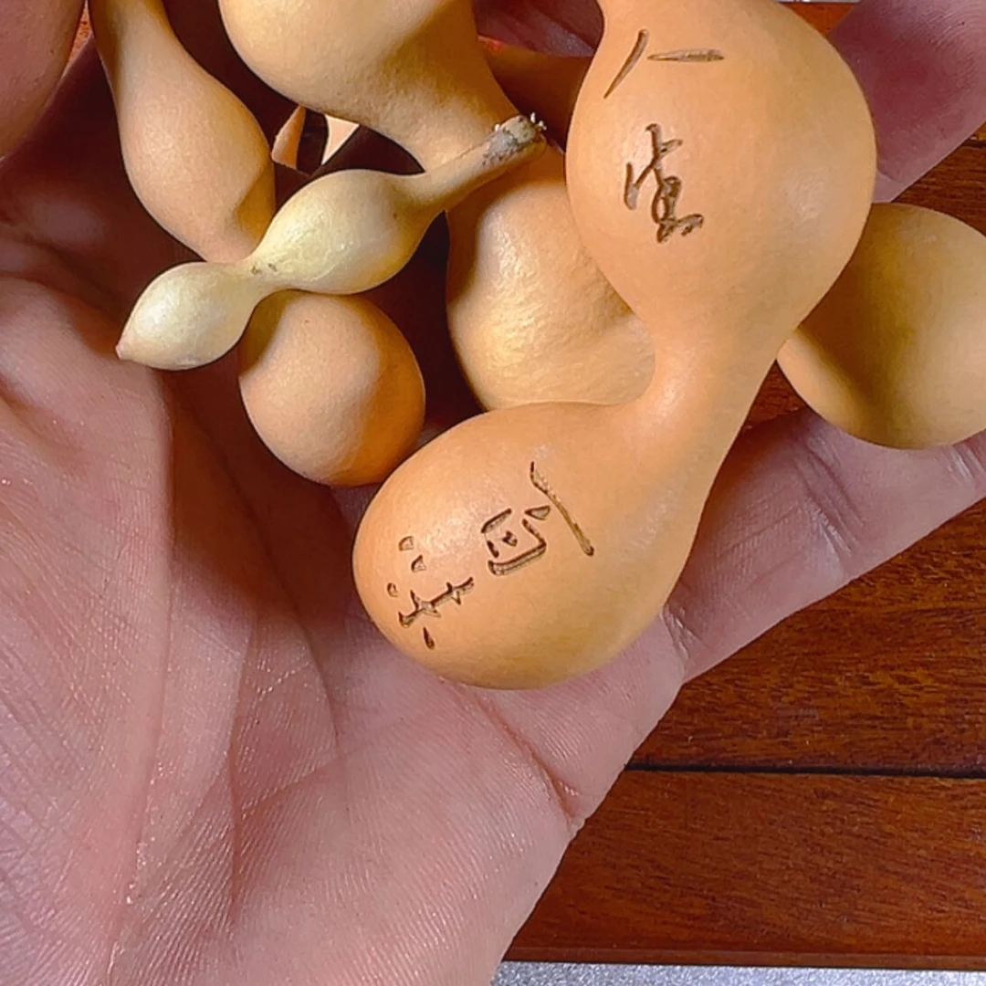 【闪购商品】天然葫芦无**我024