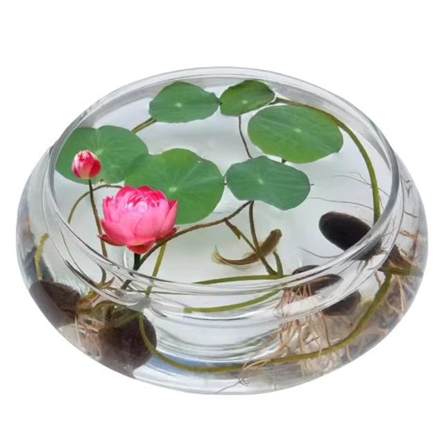 透明大号玻璃花瓶水培花盆金鱼缸碗莲 盆睡莲花卉水生植物鱼缸