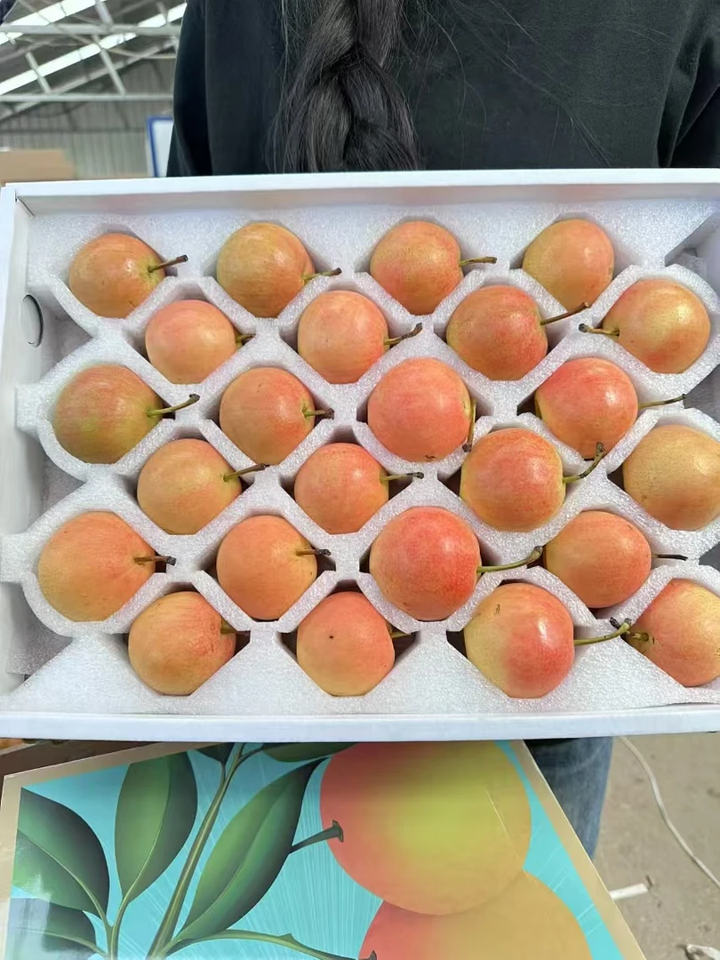 【辽宁-特产】1斤南果梨