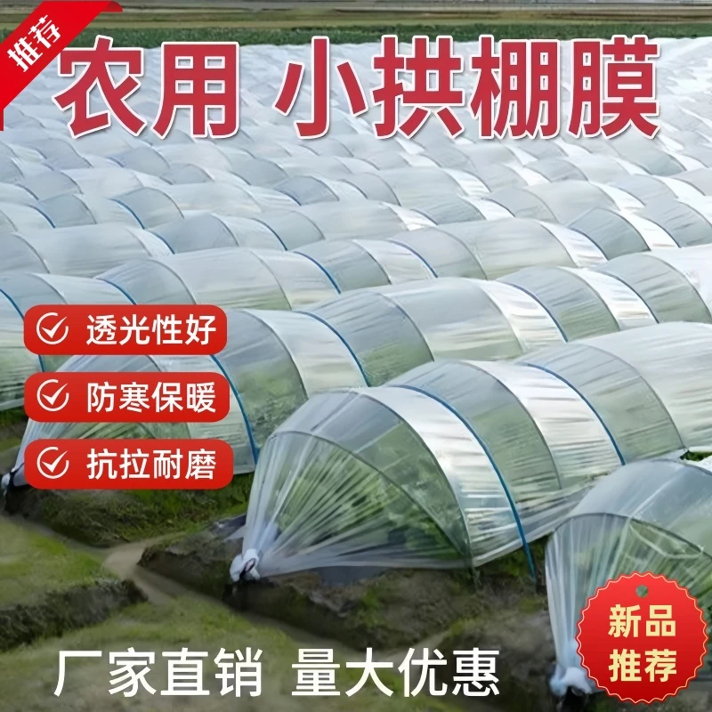 透明小拱棚专用膜种菜蔬菜保温菜园加厚塑料布大棚膜育苗农用薄膜