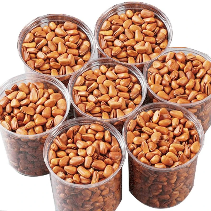 新货东北开口松子罐装500g/250g大颗饱满营养新鲜甄选东北松子10g