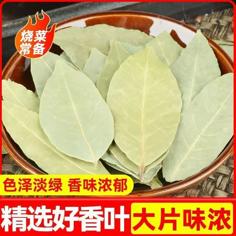 广西香叶月桂叶无硫熏自然晒干家用厨房香料调料炖肉增香包邮批发