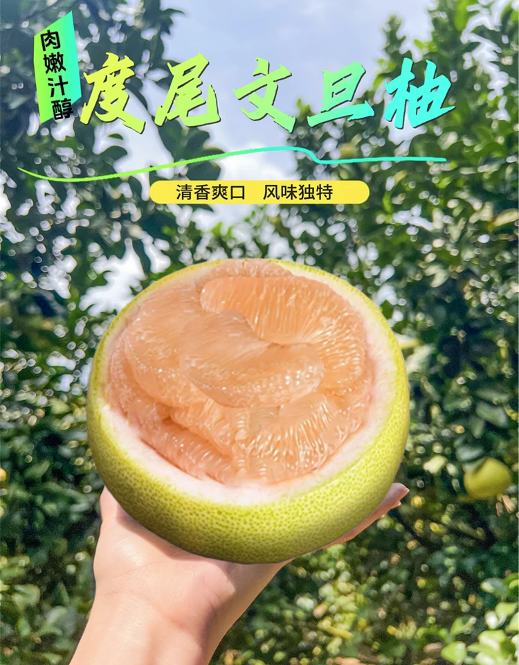 正宗福建度尾文旦柚红心柚子无孔果新鲜当季水果孕妇精品水分充足