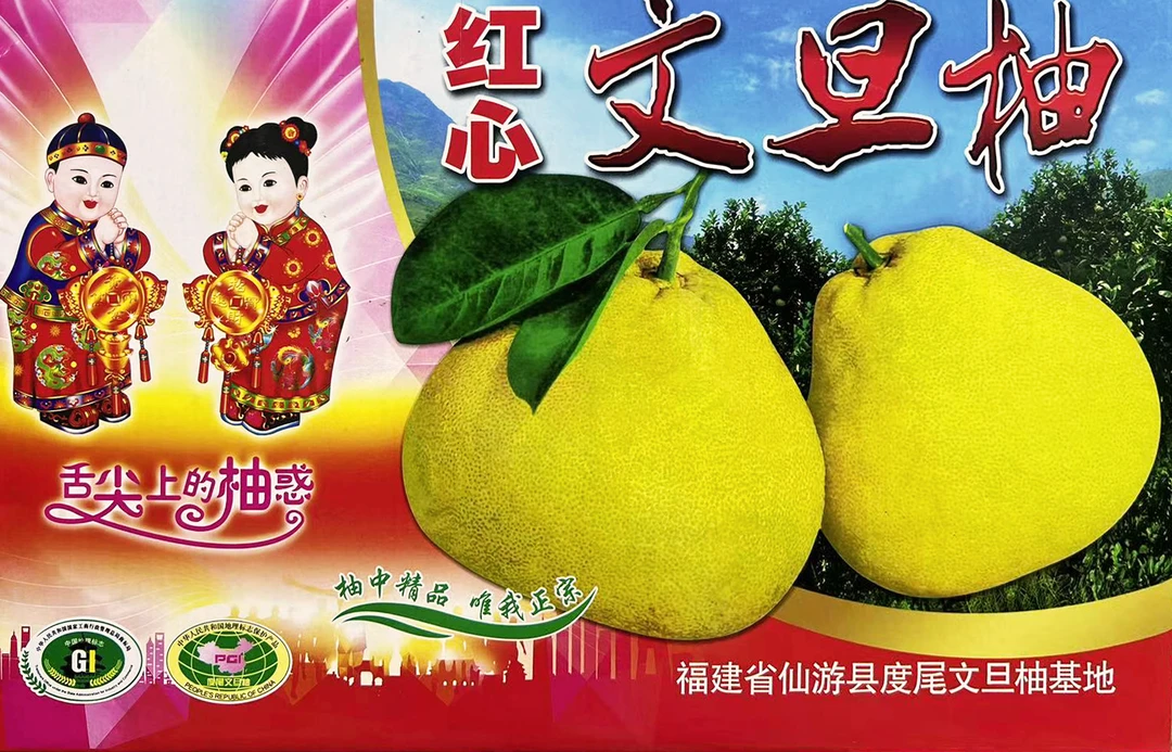 【礼盒装10斤】正宗福建度尾文旦柚红心柚子无孔果新鲜当季水果精品