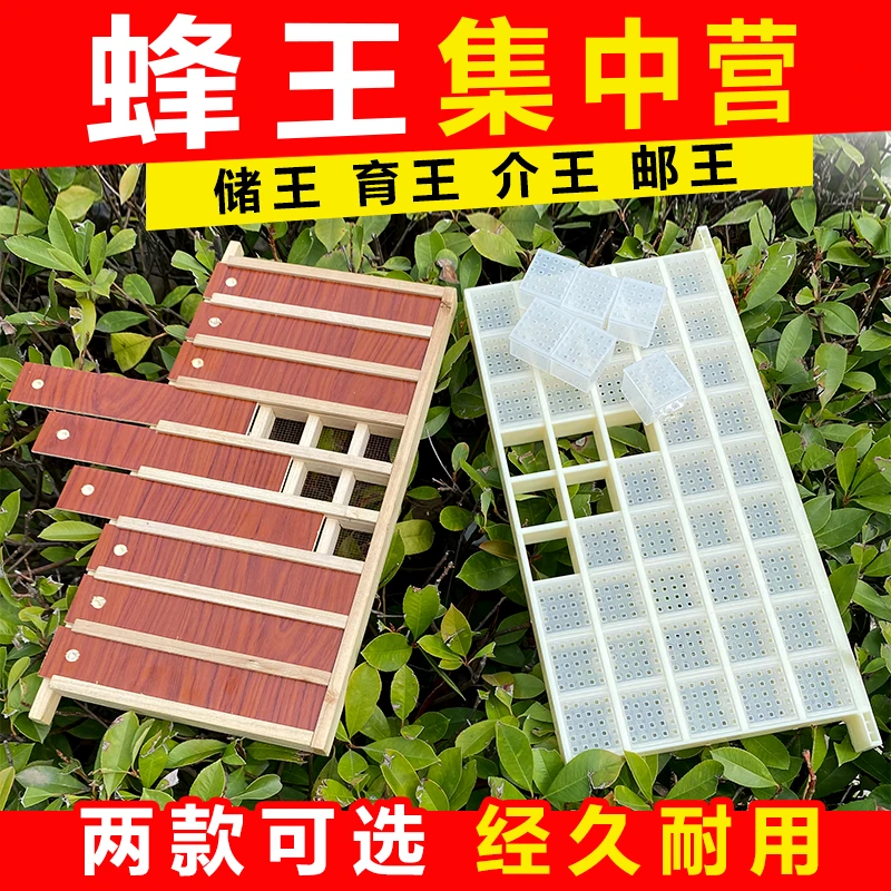 新型多功能木质储王器塑料储王器45个储王格子邮寄王笼蜂王储存盒