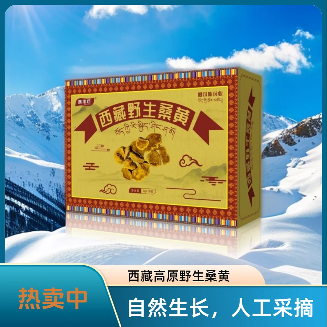 【小鹤专属】西藏高原桑黄 可煮可泡 老少皆宜【数量不多】专属