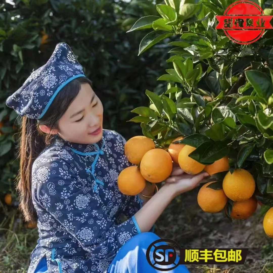含箱10斤赣南脐橙发源地安西脐橙现摘现发产地果农直销