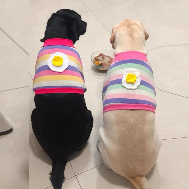 四季狗狗衣服宠物大狗短款护肘可爱荷包蛋拼色舒适金毛中大型犬