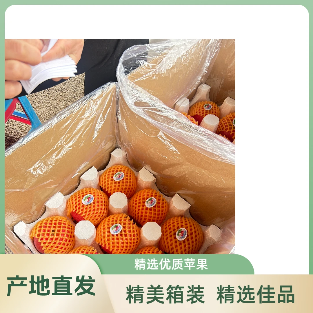 陕西自产自销 秦脆苹果脆甜可口 18枚(80mm)精美箱装精选优品