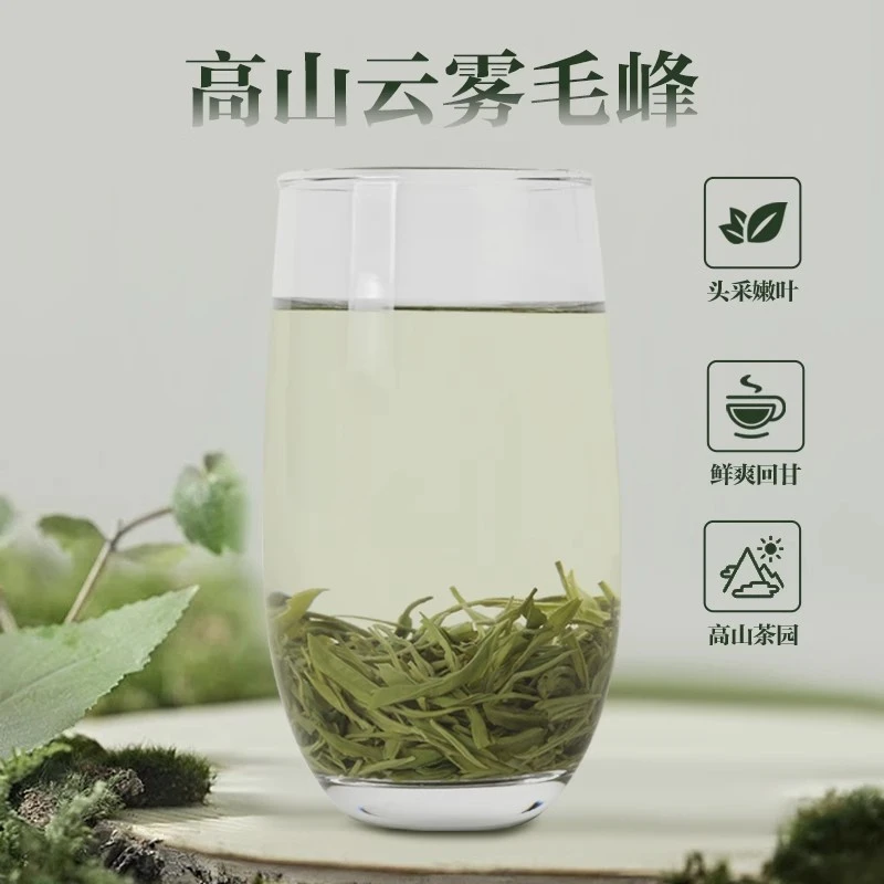 贵州高山云雾绿茶2024新茶毛峰茶日照春茶浓香型