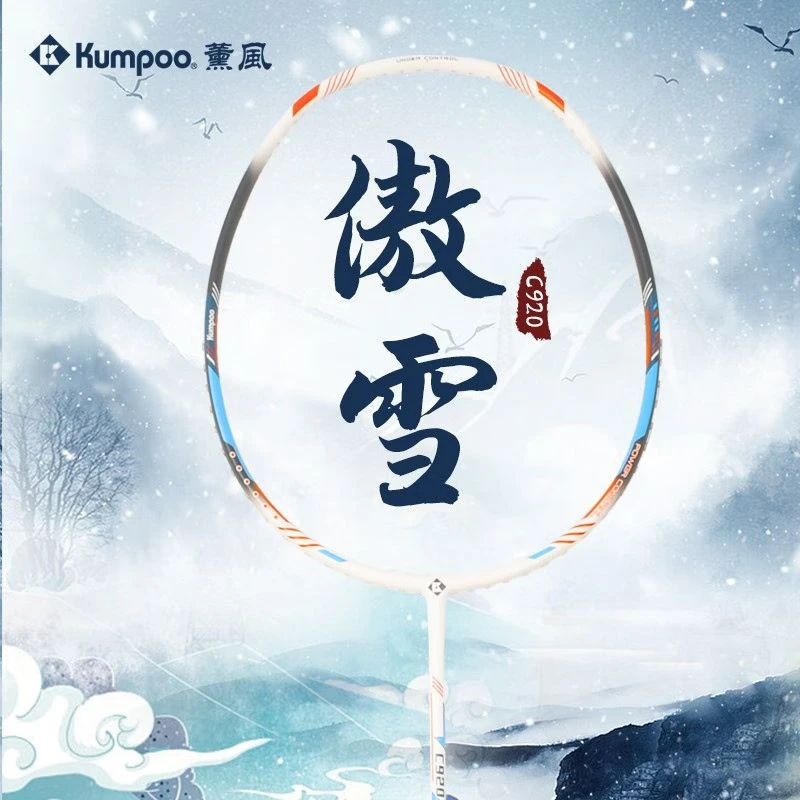 薰风羽毛球拍C920pro全碳素纤维高颜值训练比赛耐打娱乐情侣单拍