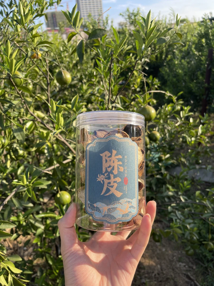 【断片】2019年新会东甲断片福利款