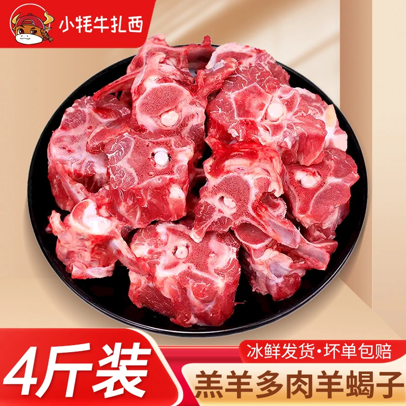 羊蝎子新鲜羊肉散养乳羔羊羊蝎子4斤羊脊骨带肉羊蝎子火锅食材Z
