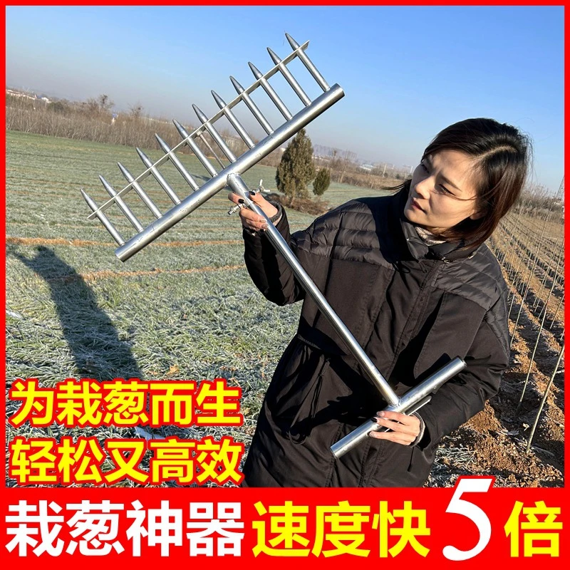 栽葱神器种菜洋葱种植栽苗叉子小型农用打孔打洞器插葱种大葱工具