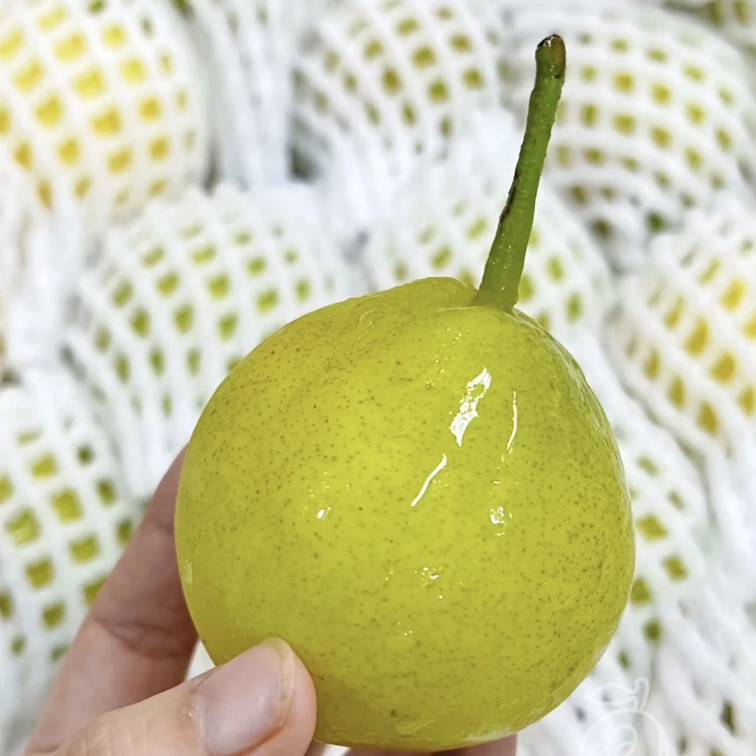 蜂蜜梨 /斤（约500g）