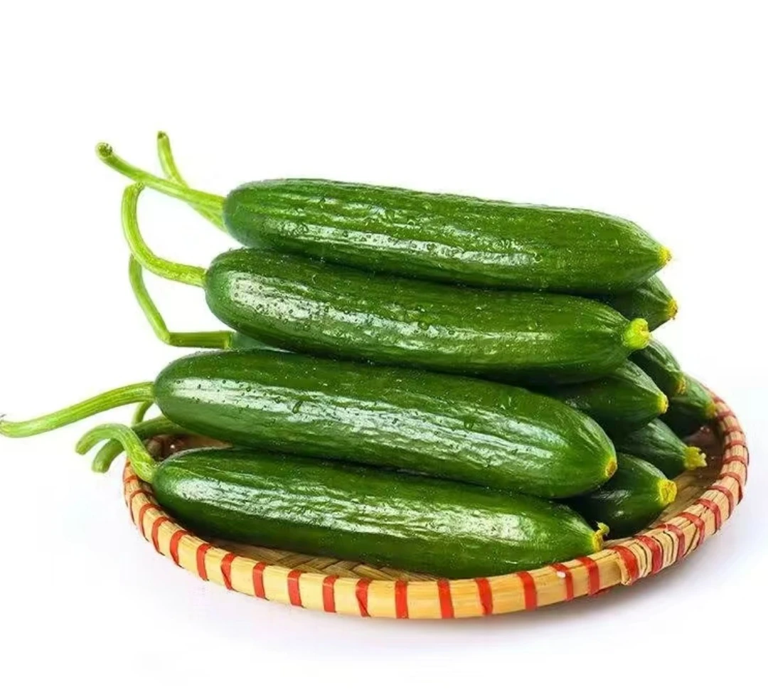 精品小青瓜 /盒(净果1斤2两)